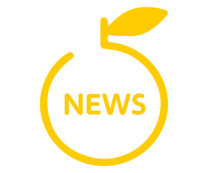 news_icon